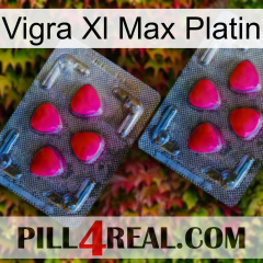 Vigra Xl Max Platinum 14